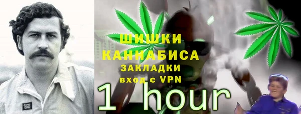 2c-b Лихославль