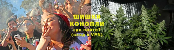 хмурый Липки
