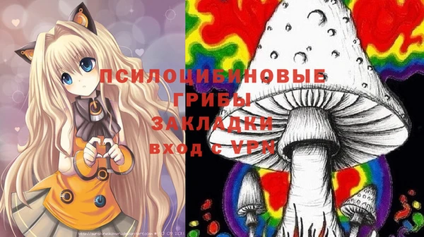 хмурый Липки