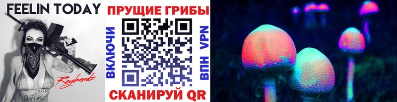 где продают   Чадан  Псилоцибиновые грибы MAGIC MUSHROOMS 